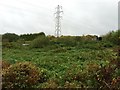 Silverdale: abandoned allotments