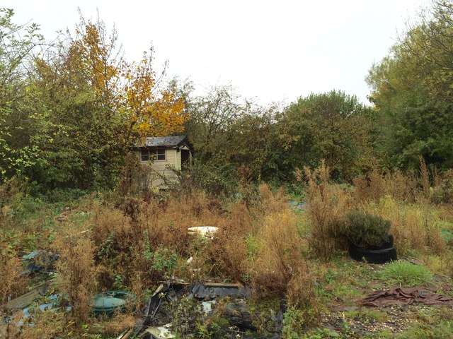 Silverdale: abandoned allotment