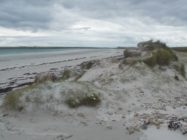 Stronsay: dunes backing Sand of Rothiesholm