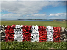HY6329 : Stronsay: view over the airfield wall by Chris Downer