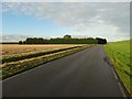 Road by The Trent