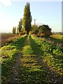 Farm track to the south of Gunthorpe