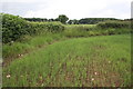 Corner of field beside Cowling Lane