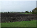 TL4985 : Farmland near Pymoor by JThomas