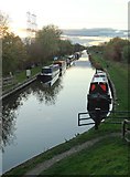 SK7894 : The Chesterfield Canal at West Stockwith by Neil Theasby