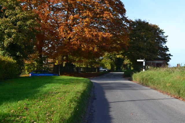 Autumn colour at Brigmerston Corner