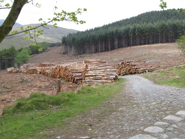 Clear Felling The Drinns Woodlands Eric Jones Cc By Sa 2 0   4714820 A71c9241 