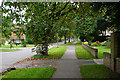 Leafy path in Beckenham Place Park