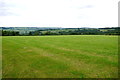 Large Grass Field at Crawley