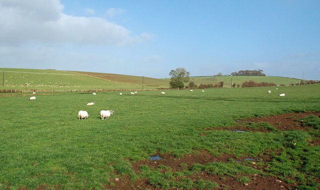 Ayrshire Farmland