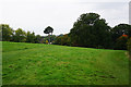 Open grassland in Beckenham Place Park