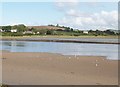 View across the River Torridge, Bideford, Devon