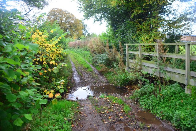 Ford at Holly Grove Farm