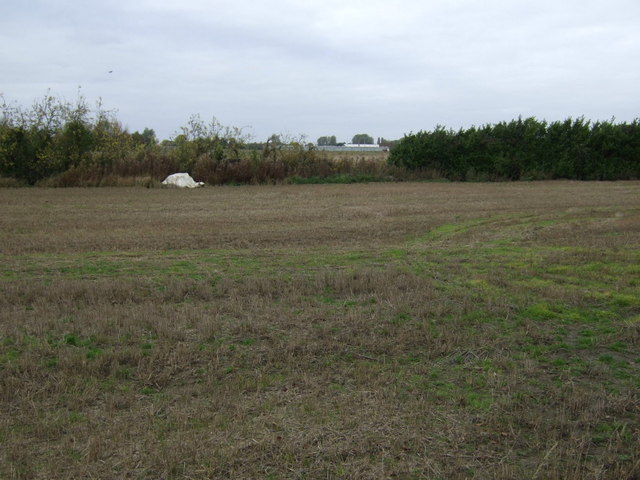 Stubble field off Townsend Road (A1101)