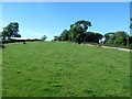 Grazing land on drumlin land adjoining the B27