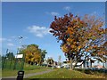 Autumn colours near Sheffield city centre