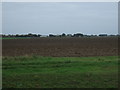 TF5111 : Flat farmland off Walton Road by JThomas