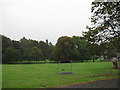 Swings in the park