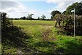 Footpath near Whitehall Farm