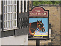 Sign of the Nag