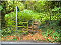 Stile and Steps off Beacon Lane