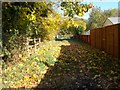 Footpath - Waterloo Road