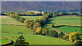 SO3031 : Pastures near the Welsh border by Jonathan Billinger