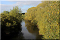 SE3679 : River Swale from Skipton Bridge by Chris Heaton