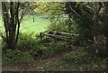 Footbridge on path to Ty-Brachty Terrace, Kendon