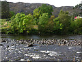 The River Ewe just above Poolewe bridge