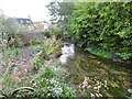 Cerne Abbas, River Cerne