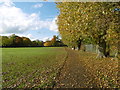 Montrose Playing Fields