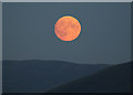 NT3224 : Moonrise over Eldinhope Knowe by Walter Baxter
