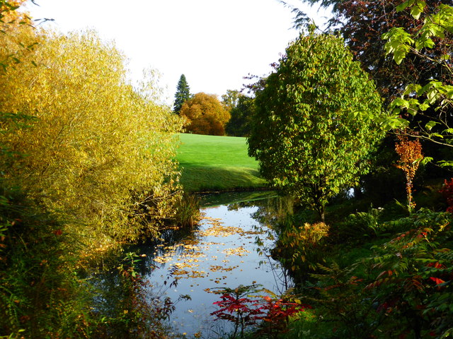 Cold Well Lake - Batsford Arboretum