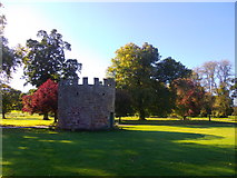 NO3847 : East Tower, Glamis Castle grounds by Stanley Howe