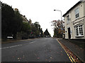 TM1645 : Fonnereau Road, Ipswich by Geographer