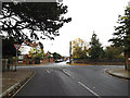 TM1645 : Park Road, Ipswich by Geographer