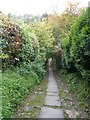 Looking down Church Steps from the north side of the combe, Bratton