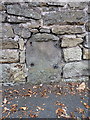 OS benchmark - Wellington, boundary stone on Whitchurch Road