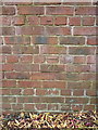 OS benchmark - Leegomery, wall at rear of 43 Cheltenham Court