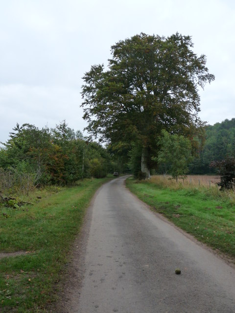 Minor road leading to Hutton