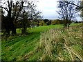 Between fields, Campsie, Omagh