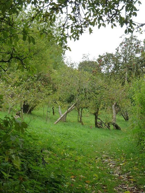 Reeves Orchard, Bratton