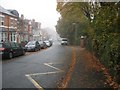 Stanley Road on an autumn morning