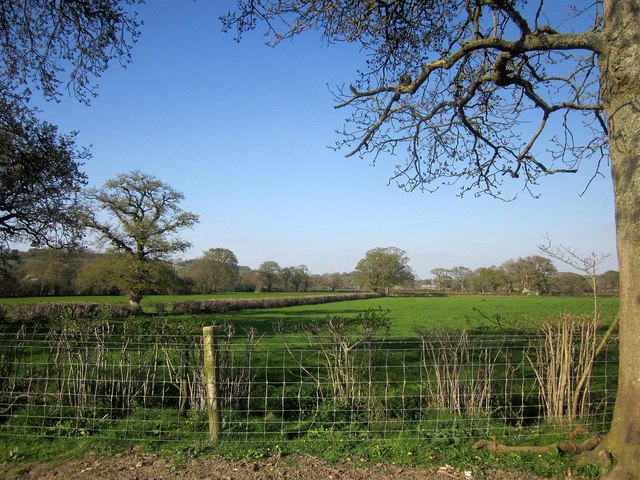 Farmland, Lower Halstock Leigh