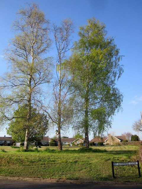 St Juthware Close, Halstock © Derek Harper :: Geograph Britain and Ireland