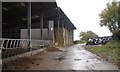 Cattle shed & straw barn - Heanton Barton