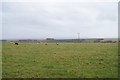 Farmland by Petrockstowe windmill