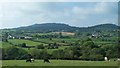 Cattle grazing on the eastern slopes of the Leitrim Valley