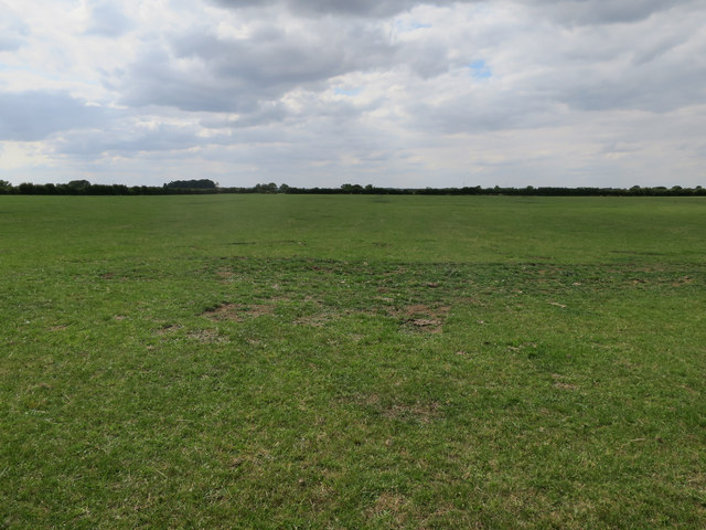 Peaceful grass field © Hugh Venables :: Geograph Britain and Ireland